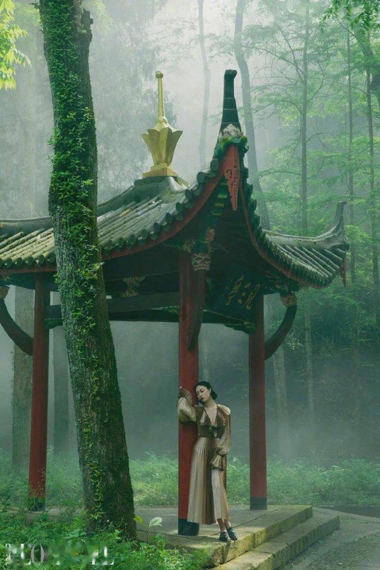 一块牛肉的故事