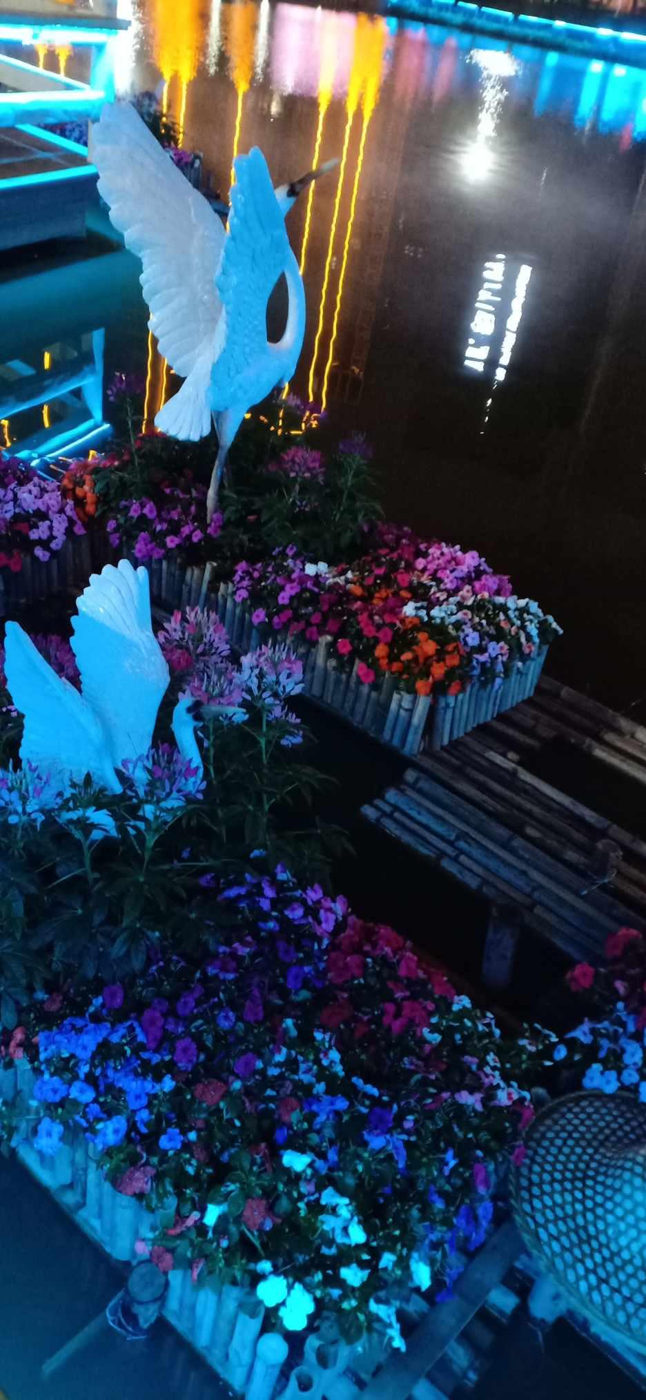 权力与纷争